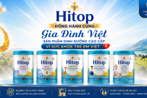 HITOP GOLD – Giải pháp dinh dưỡng đồng hành cùng từng giai đoạn phát triển của trẻ và người trưởng thành